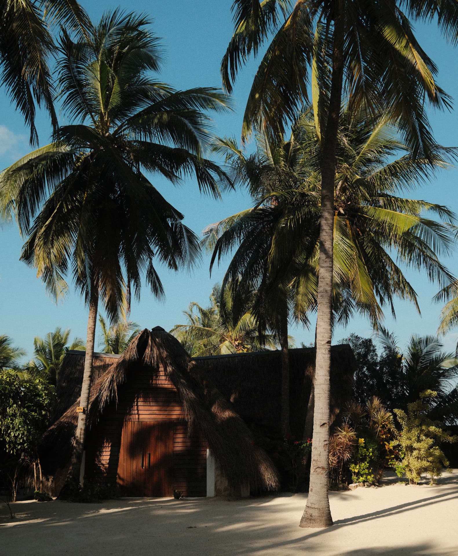 Palm Court — resort architecture · art direction by Marie-Louise Hald