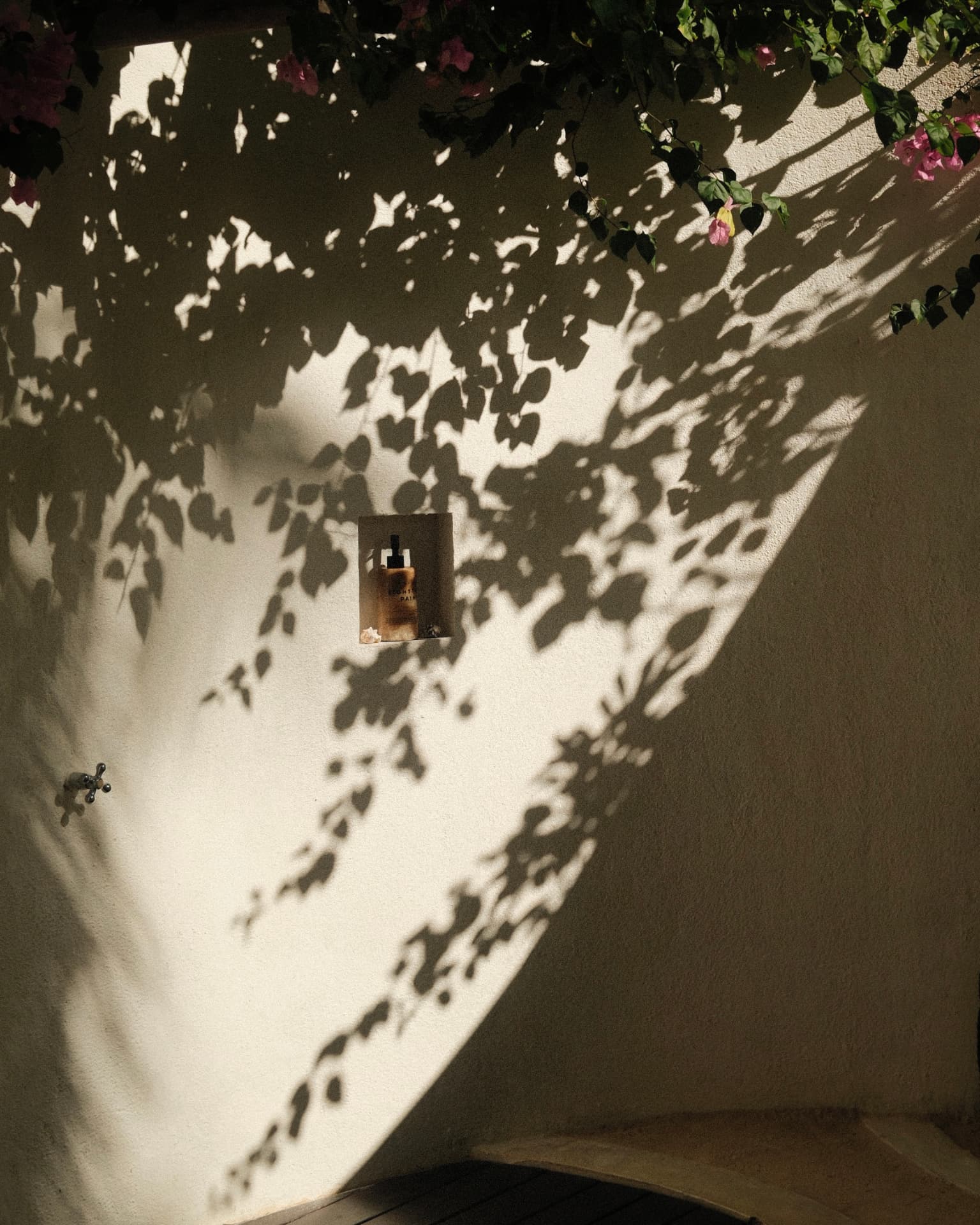 Leaf shadows across a sunlit plaster wall
